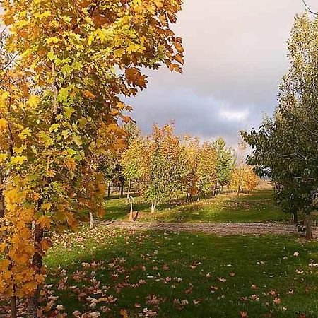 Camping Ain Хака Екстер'єр фото
